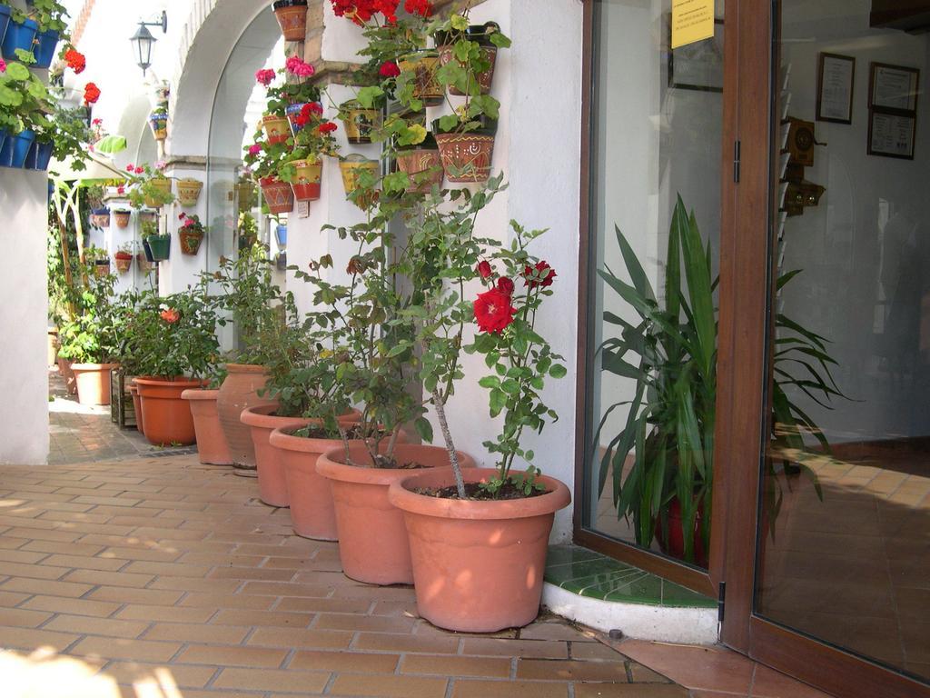 Hotel Cortijo Los Gallos Chiclana de la Frontera Kültér fotó